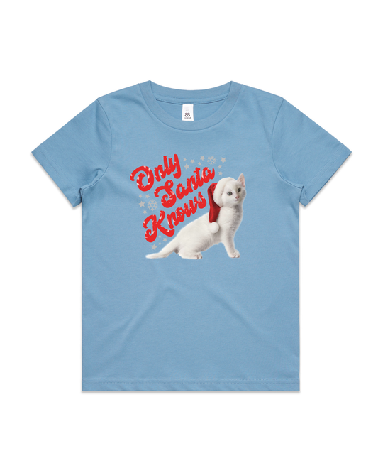 Only Santa Knows | Beanie | Delta Goodrem | Kids T Shirt (COLOURS)