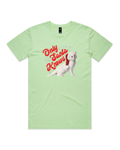 Only Santa Knows | Beanie | Delta Goodrem | Unisex T Shirt (COLOURS)