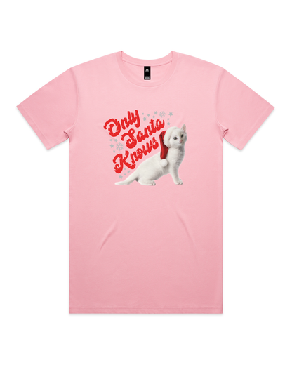 Only Santa Knows | Beanie | Delta Goodrem | Unisex T Shirt (COLOURS)