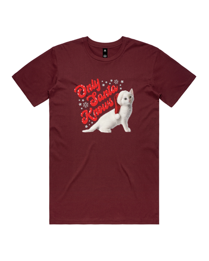 Only Santa Knows | Beanie | Delta Goodrem | Unisex T Shirt (COLOURS)