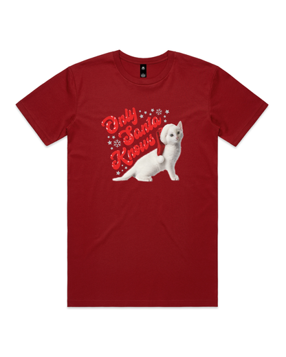 Only Santa Knows | Beanie | Delta Goodrem | Unisex T Shirt (COLOURS)