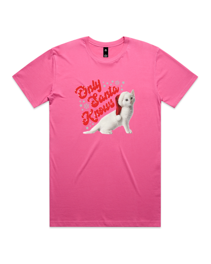 Only Santa Knows | Beanie | Delta Goodrem | Unisex T Shirt (COLOURS)