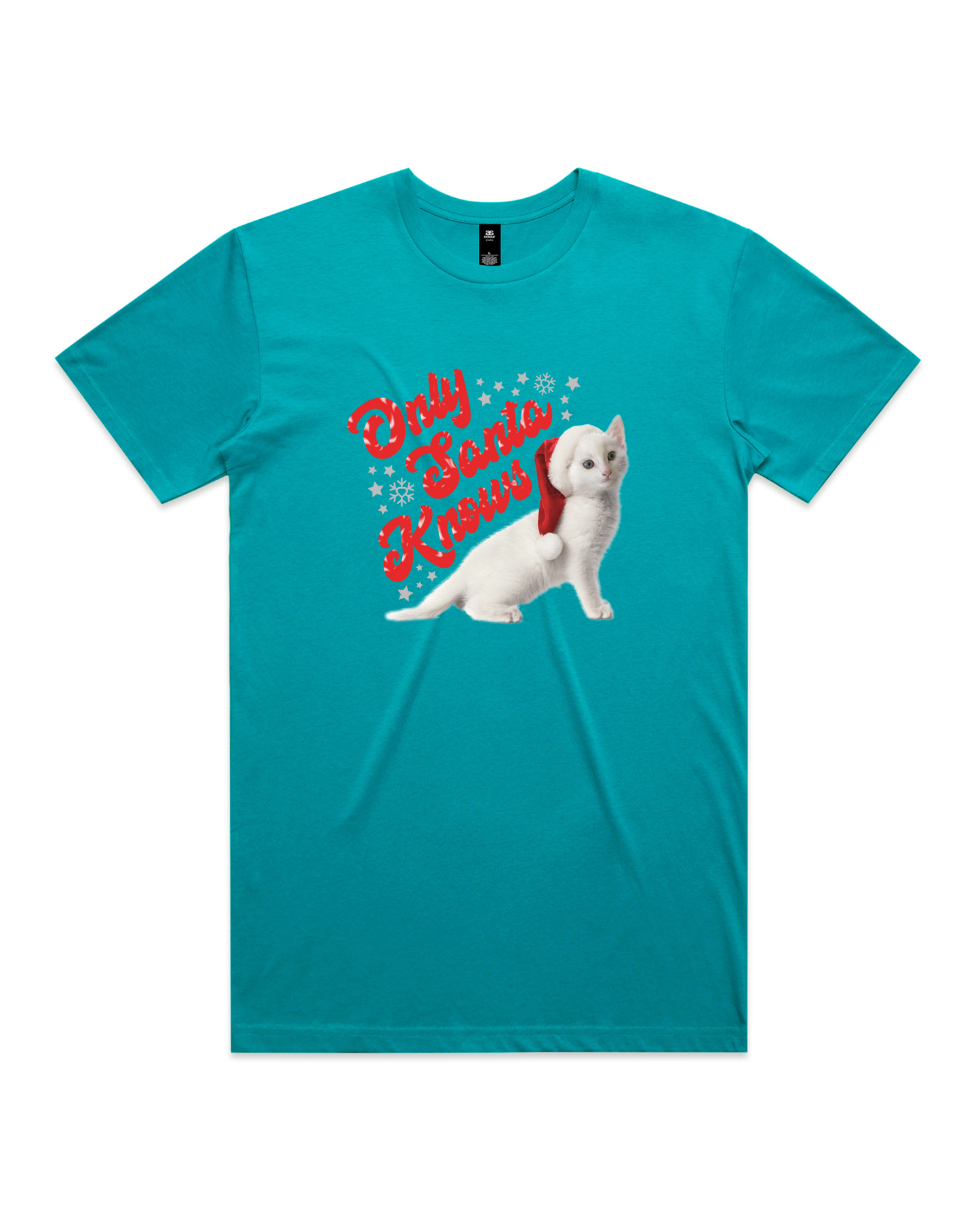 Only Santa Knows | Beanie | Delta Goodrem | Unisex T Shirt (COLOURS)