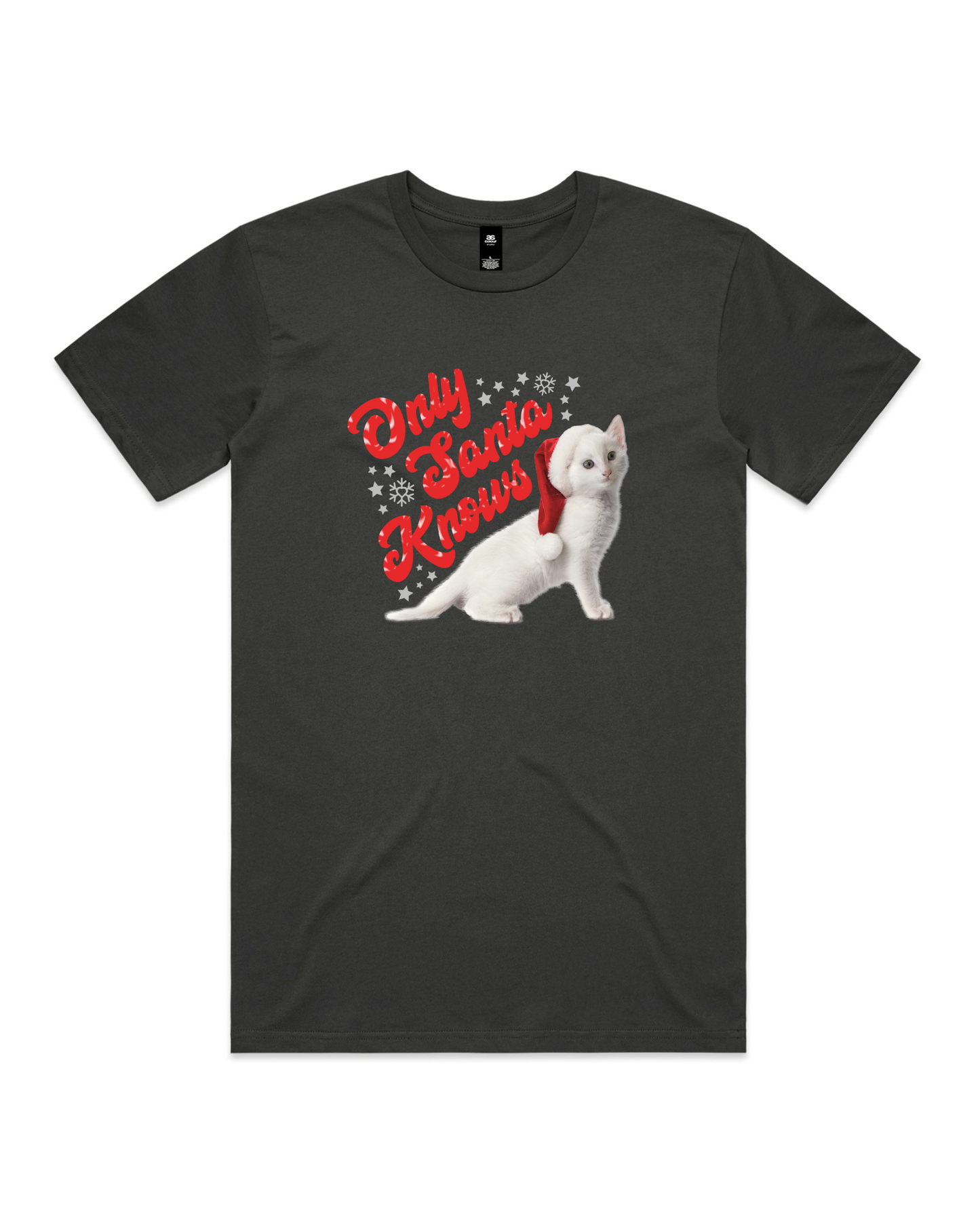 Only Santa Knows | Beanie | Delta Goodrem | Unisex T Shirt (COLOURS)