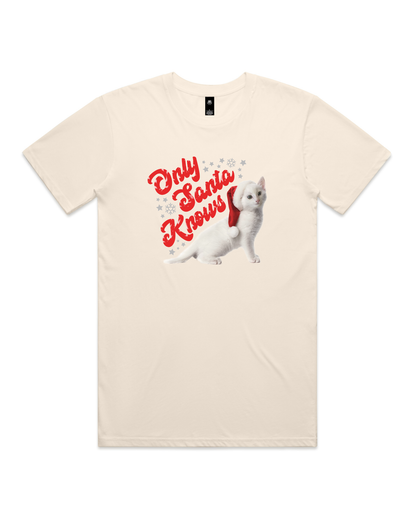 Only Santa Knows | Beanie | Delta Goodrem | Unisex T Shirt (COLOURS)