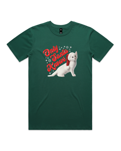 Only Santa Knows | Beanie | Delta Goodrem | Unisex T Shirt (COLOURS)