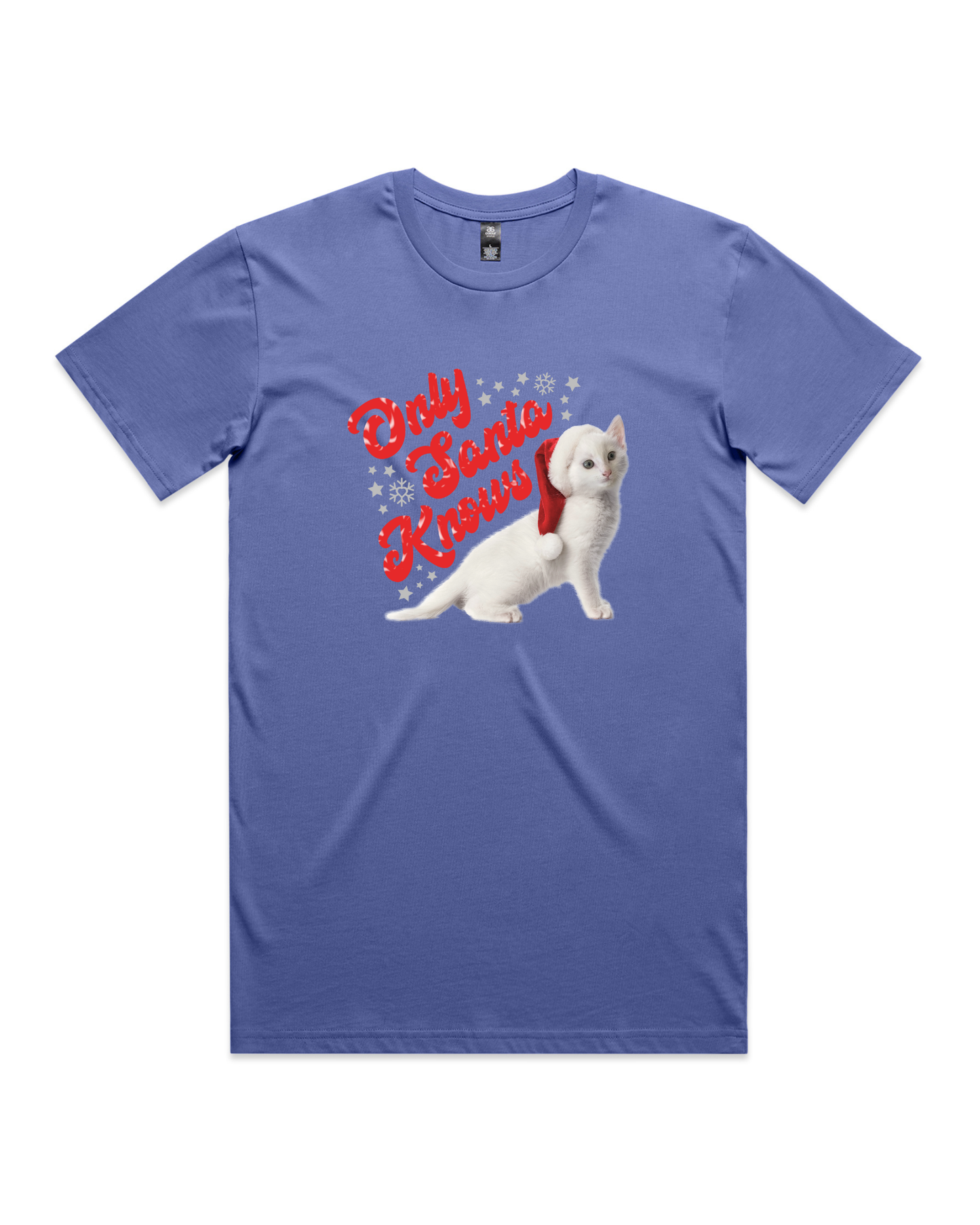 Only Santa Knows | Beanie | Delta Goodrem | Unisex T Shirt (COLOURS)