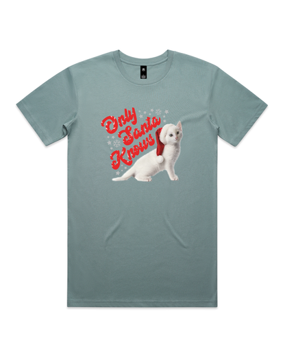 Only Santa Knows | Beanie | Delta Goodrem | Unisex T Shirt (COLOURS)