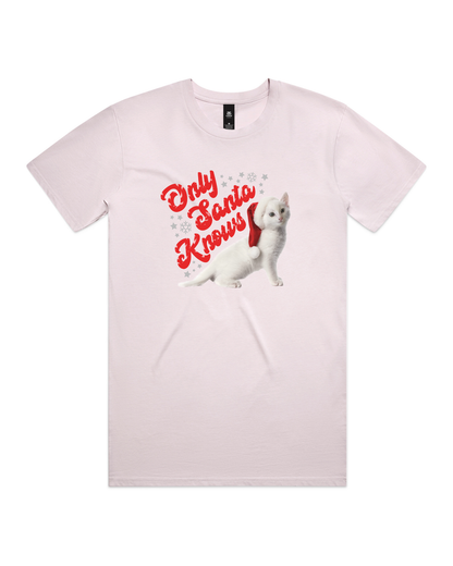 Only Santa Knows | Beanie | Delta Goodrem | Unisex T Shirt (COLOURS)