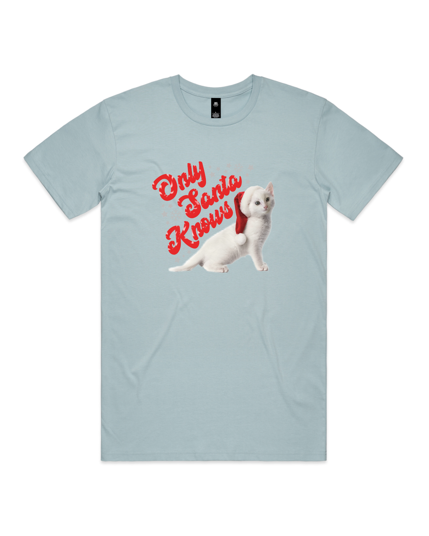 Only Santa Knows | Beanie | Delta Goodrem | Unisex T Shirt (COLOURS)