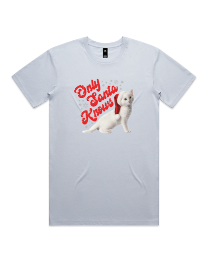 Only Santa Knows | Beanie | Delta Goodrem | Unisex T Shirt (COLOURS)