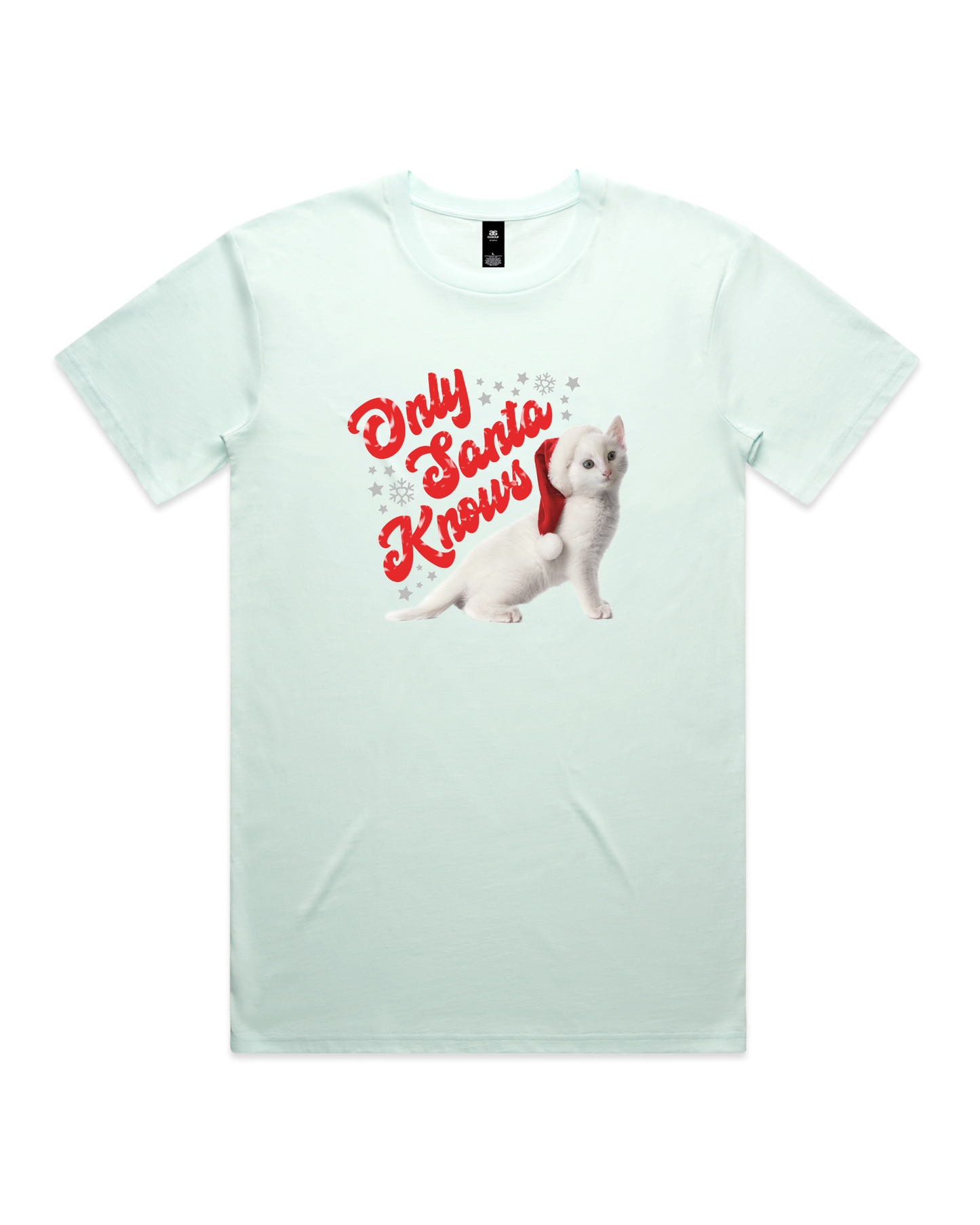 Only Santa Knows | Beanie | Delta Goodrem | Unisex T Shirt (COLOURS)