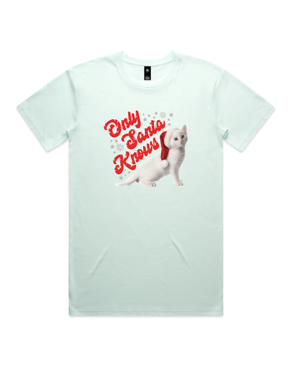 Only Santa Knows | Beanie | Delta Goodrem | Unisex T Shirt (COLOURS)