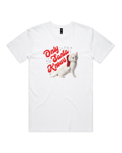 Only Santa Knows | Beanie | Delta Goodrem | Unisex T Shirt (COLOURS)